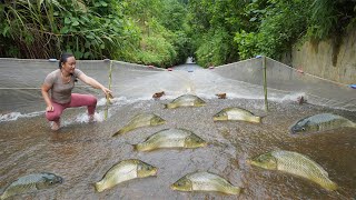 The girl harvested a lot of fish from the dike where the water flowed out - fishing technique