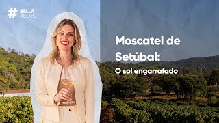 Moscatel de Setubal: o sol engarrafado