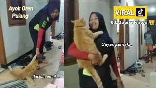 KUCING LUCU.!! Si Oren nongkrong dikos-kosan sampai malam dan langsung dijemput emaknya!