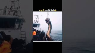 समुद्र के अंडर से मिली 😱🐋 #facts #shorts #ytshorts #ocean #shortfeed #viral #shortfeed #animals