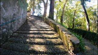 Monte, Palace Gardens, Madeira, Portugal