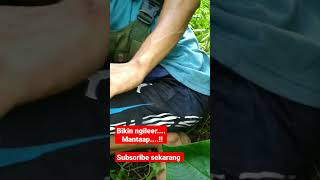 berpetualang dapat madu lebah #madu #asmr #lebah #bushcraft #shorts #shortvideo