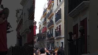 ✝️PETALADA AL DULCE NOMBRE DE MARIA✝️ #semanasantasevilla #ssantasevilla24 #sevilla #shorts