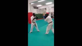 Kyokushin Karate Training with Head Punches and Grappling