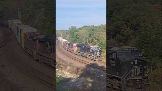 The Illinois Central Heritage Unit (CN 3008) throttles through Bayview Junction in Golden Light!