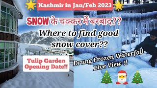 Kashmir Trip Jan Feb 2023| Kashmir Snowfall | Kashmir Tour Guide| Gulmarg Pahalgam in Jan Feb