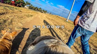 From a Labrador Retriever's Point of View (POV) | Off Leash Walking | GoPro Fetch | Cortez Ink