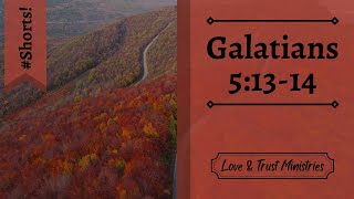 Love Your Neighbor as Yourself! | Galatians 5:13-14 | October 20th | Rise and Shine Shorts