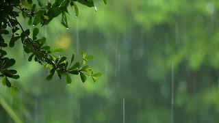 Dormir Rápidamente en Menos 5 Minutos 🌨️ Lluvia Relajante en la Ventana por la Noche con Truenos