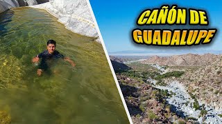 UN OASIS EN EL DESIERTO | CAÑÓN DE GUADALUPE 2024🌴 Baja California