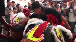 Chapter 6. PGB Bangau putih -  Kei Lin ( Chinese Barong Dance ) Cap Go Meh 2012 Part 2.mp4