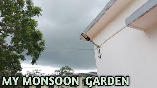 Missa, Tezpur Life/ My Monsoon Garden.. Few updates😊