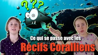 Qu'advient-il des récifs coralliens? - Kids News Break