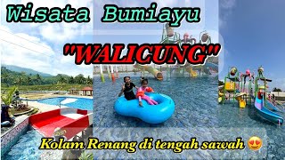 WALICUNG | Waterboom Di Tengah Sawah | Wisata Kali Pucung, Bumiayu Brebes Selatan