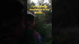 For the record, it was a death cap. #shorts #funny #foraging #nature #memes #outdoors #mushroom