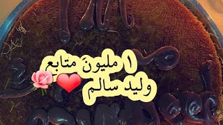 احتفال ام فهد بوصول وليد سالم الى المليون متابع / سنابات ام فهد