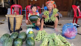 Harvesting watermelon, green cowpea to sell, Daily life of orphaned boy khai with the old lady.