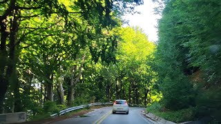 Πήλιο: από το Βόλο στο Παπά Νερό 💚💚💚