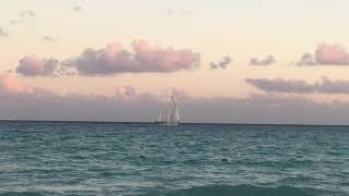 Sailboat sailing past Playacar