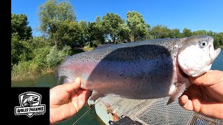 Schleppmontage mit Erfolg  Angelsee Oker ( Trout Area Fishing )