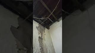 VID 20190109 WA0001