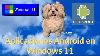 ¿Cómo ejecutar aplicaciones Android en Windows 11 usando solo el sistema operativo?