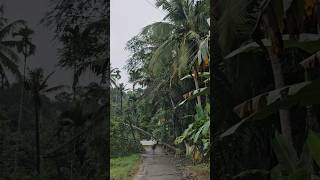 വലിയൊരു അപകടം ഒഴിവായി ! Danger ⚡ warning ⚠️