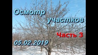 Осмотр участков _ (Часть 3) _ 05.02.2019