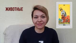 Символы таро. Что символы и образы на картах таро обозначают? Таро Обучение. Видеоурок.