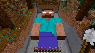 I found Herobrine Sleeping Underground in Minecraft meme