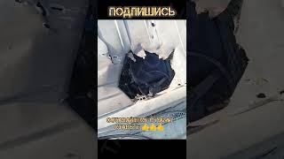 СВО Берегись Автомобиля #сво #водитель #война #песня #shortsyoutube #позитив