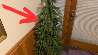 My Experience After a Month With NTC Hickory Christmas Tree