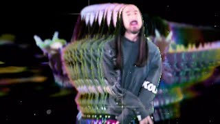 Steve Aoki Ft. Global Dan - Stars Don'T Shine