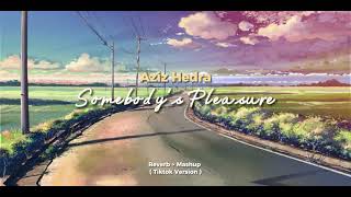 Somebody's Pleasure x Somebody's Pleasure - Aziz Hedra | Reverb ( Angga Tiktok Version )