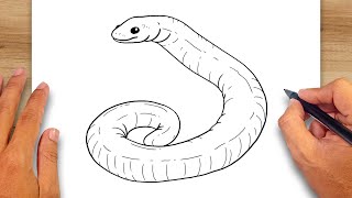 How to draw Caecilian