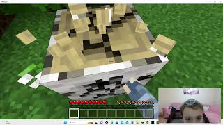 WE ARE PLAYING MINECRAFT OUR AIM IS TO MAKE ALL THE PAINTS PART 1 2023