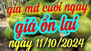 giá mít cuối ngày 11/10/2024