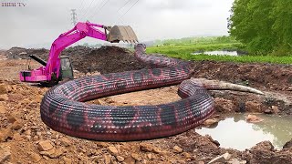 Máy Xúc Múc Đất Gặp Rắn Khổng Lồ | Excavator And Giant Snake