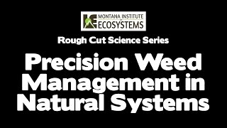 Precision Weed Management in Natural Systems