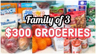 ONE MONTH GROCERY HAULS | Feeding My Family of 3 for $300 a Month