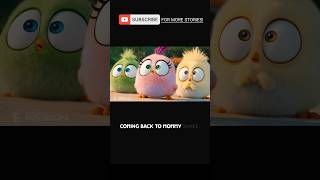 angry birds  #movie #shorts #viral #movieexplained