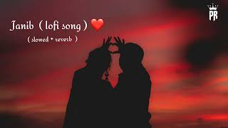 Aye Jaye dil Teri janib ( janib) lofi song ( janib lofi song) prajyot Raut ❤️#lofi #janib #lofisong