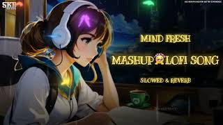 Mind 😍 Fresh Mashup🦋💖 Lofi Song - Slowed & Reverb🎧 | Arijit Singh Love Mashup Song | Skb High Beats