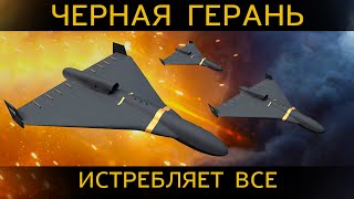 Теперь Patriot бесполезен. ЧЕРНАЯ ГЕРАНЬ обнуляющая ПВО