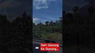 jalan jalan ke kebun tembakau #shortvideo #fypviral  #shots #nature #kebun #tembakau #gunungsumbing