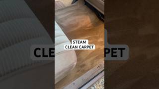 STEAM CLEAN CARPET #mobiledetailingservice #carcare #mobiledetailing #carwashing