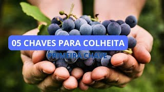 Cinco Chaves para uma Colheita Abundante na Vida Financeira | Pregação ao Vivo c/ Pastor Sidnei Luiz