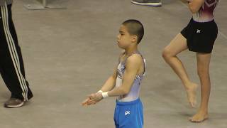 Asher Hong - 2017JO Nationals - Level 9 JE