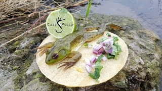 Pesca De RANAS con Caña | Caza Y Pesca