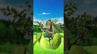 Sweet Guava #asmr #trending #viral #shorts